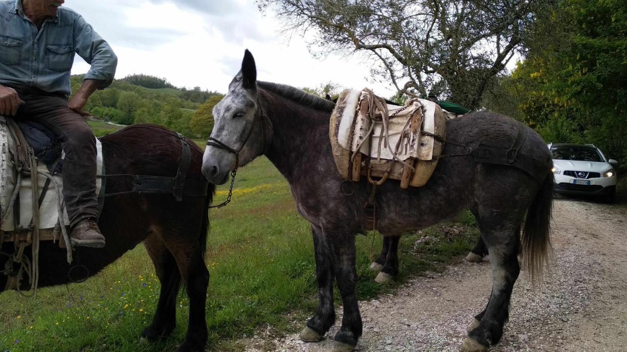 Agriturismo Montesalce Villa Gubbio Kültér fotó