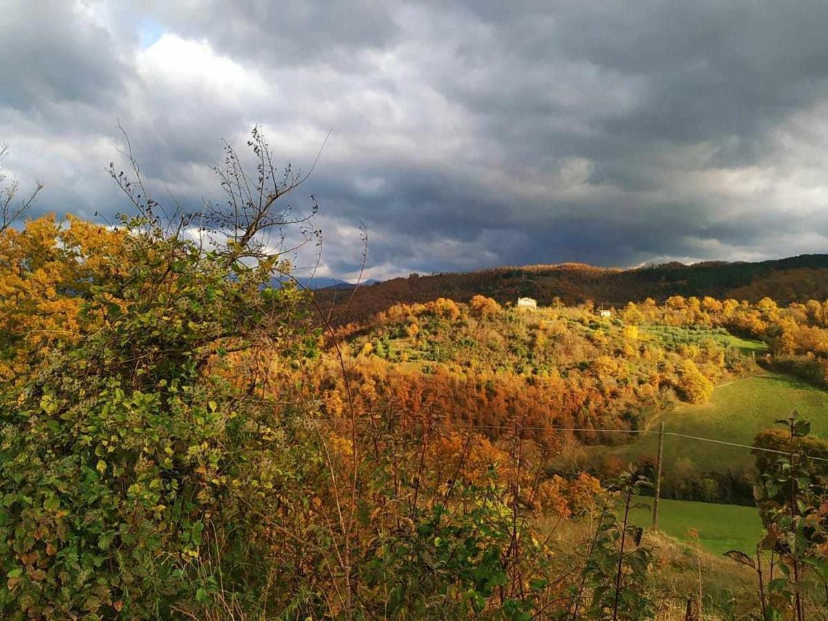 Agriturismo Montesalce Gubbio Kültér fotó