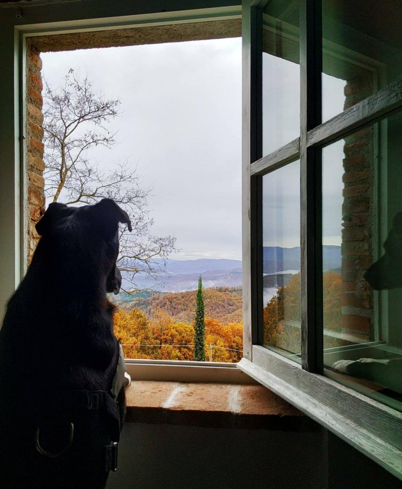 Agriturismo Montesalce Gubbio Kültér fotó