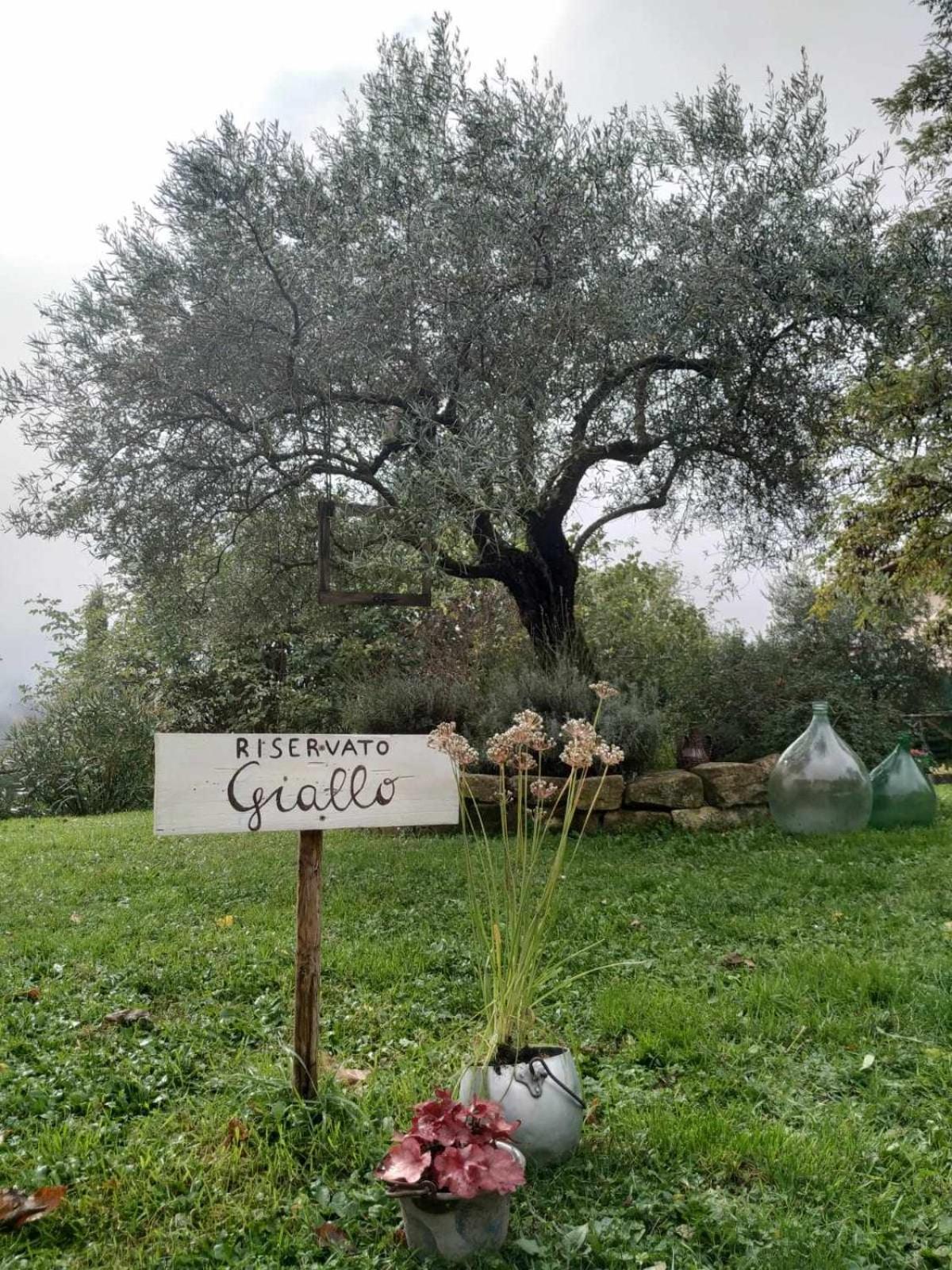Agriturismo Montesalce Gubbio Kültér fotó