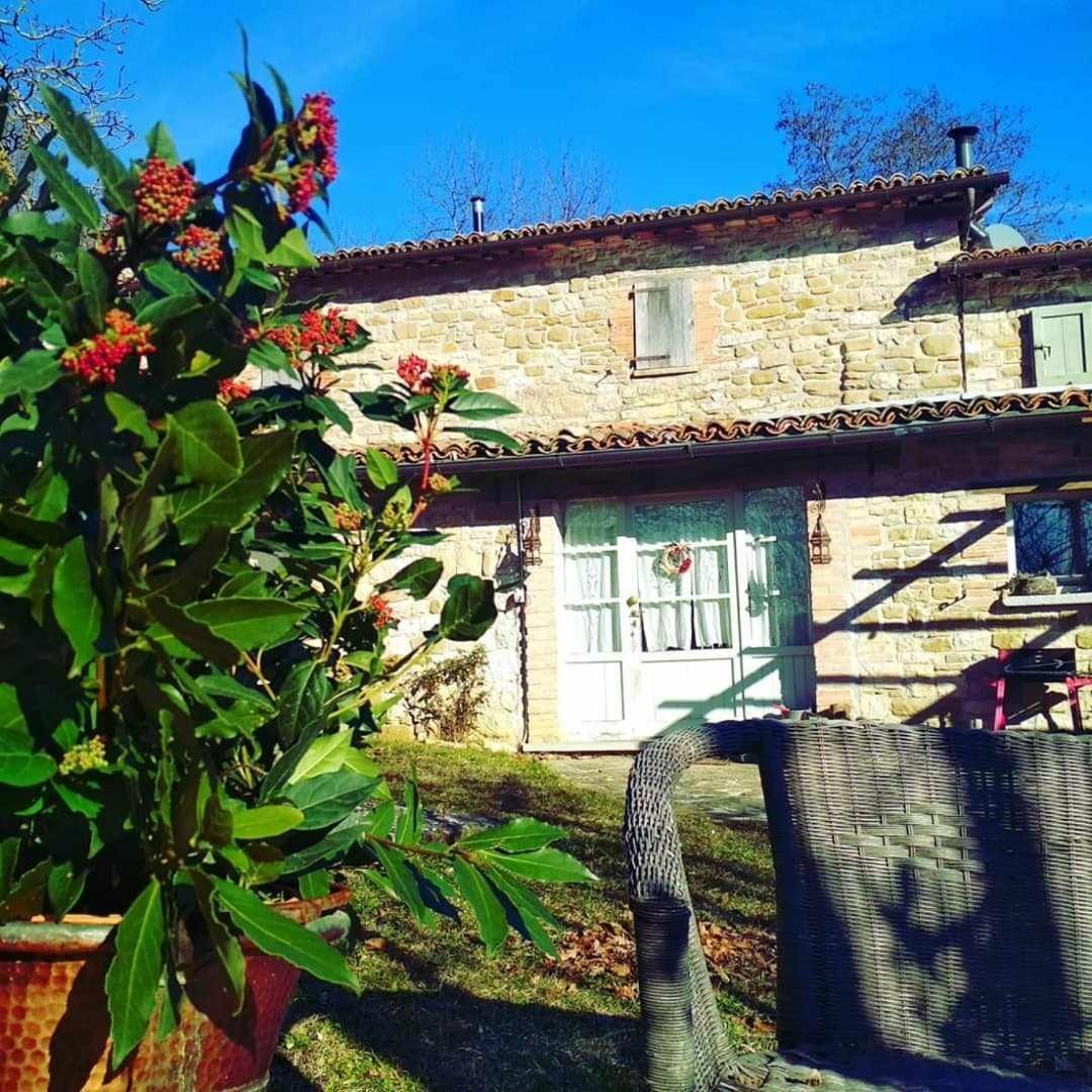 Agriturismo Montesalce Gubbio Kültér fotó